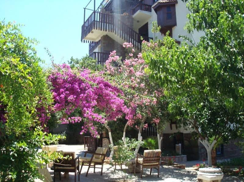 Neptun Hotel Sidé Extérieur photo